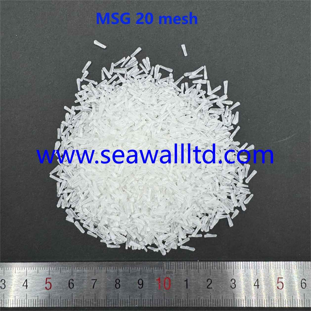 monosodium glutamate MSG